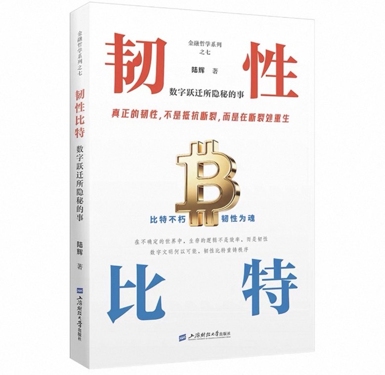 21书评｜“数字跃迁”需要韧性